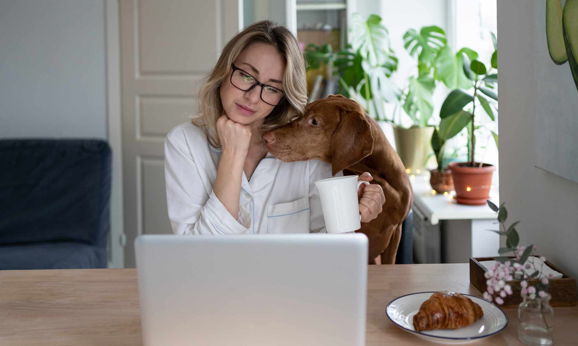 Dame aan het werk Dame aan het werk met haar huisdier